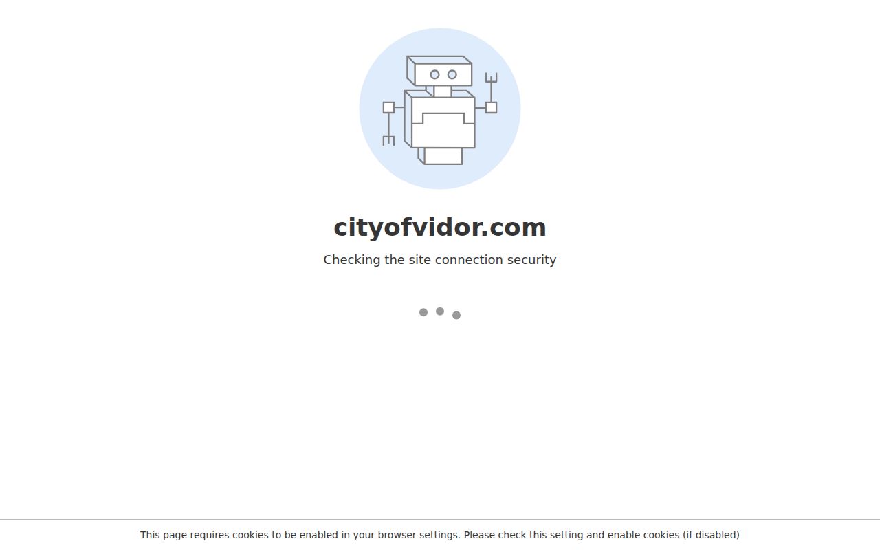 City of Vidor official homepage used to reach city records offices